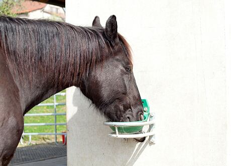 Poidła podgrzewane i kulkowe - przewodnik wyboru