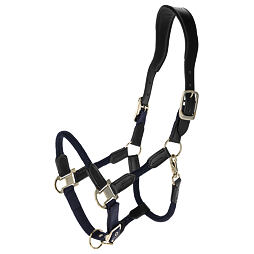 Kantar Cordano Deluxe Covalliero S/S 2026  ciemnoniebieski