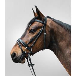 Ogłowie STAR Diamond, czarne