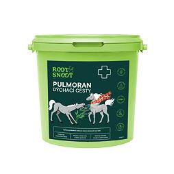 Root & Snoot Pulmoran układ oddechowy dla koni mieszanka sypka 1 kg