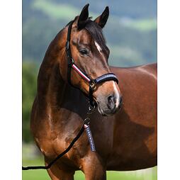 TOMMY HILFIGER Kantar Yale ze smyczą, czarny