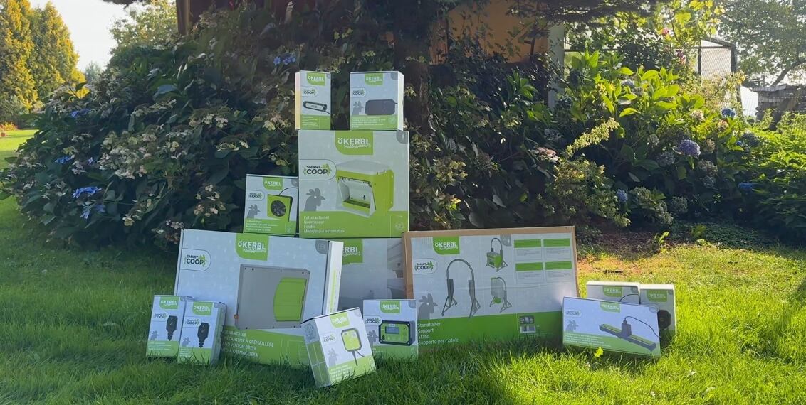 Nawet kurnik może być inteligentny!