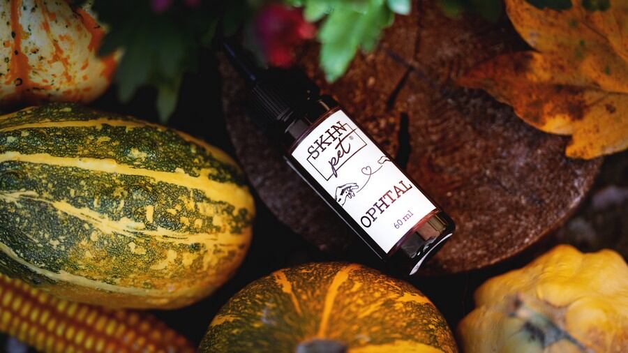 SkinPET® – Gdy chcesz zapewnić swojemu pupilowi prawdziwą opiekę.