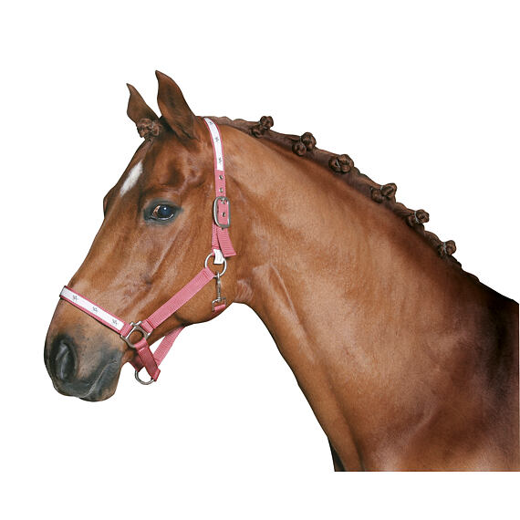 Gumki do grzywy białe, 800 szt./opak.