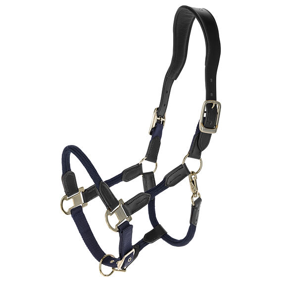 Kantar Cordano Deluxe Covalliero S/S 2026  ciemnoniebieski