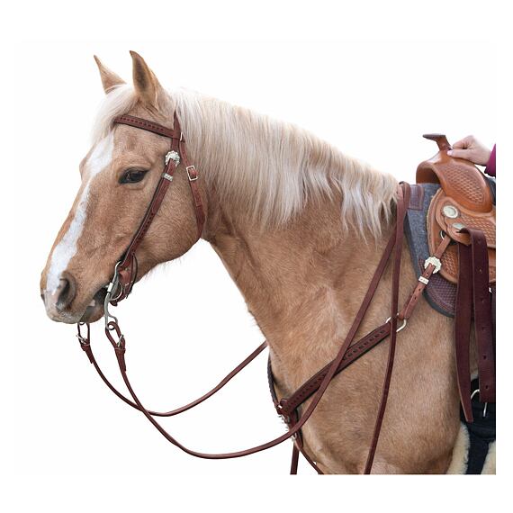 Uzda western Passion 4Q sznurowana, brązowa