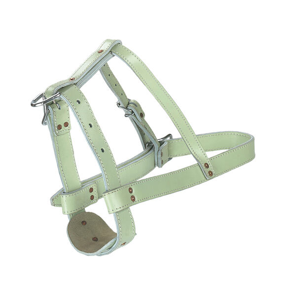 Kantar dla byków Top Quality