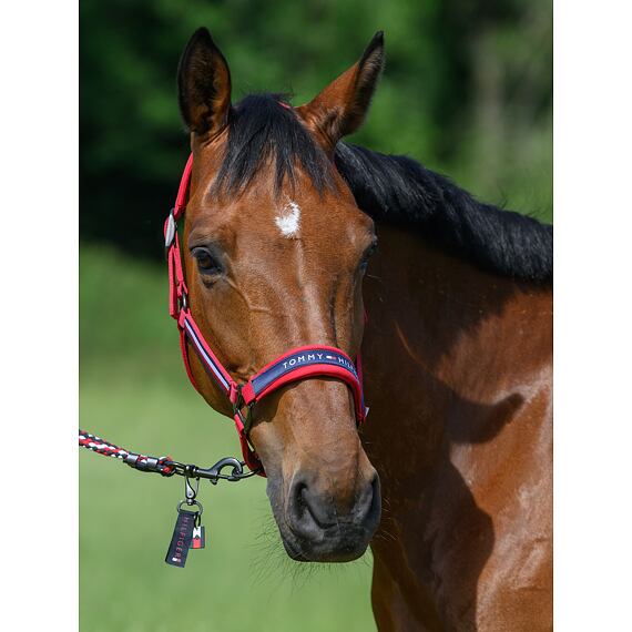 Halter ze smyczą/zestawem TOMMY HILFIGER Yale, kolekcja S/S 2025, czerwony