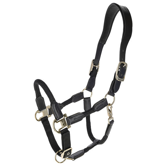 Kantar Cordano Deluxe Covalliero S/S 2026 czarny