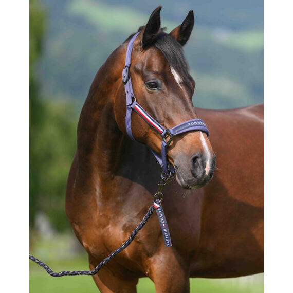 TOMMY HILFIGER kantar ze smyczą, dymny niebieski