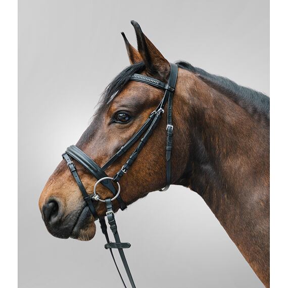 Ogłowie STAR Diamond, czarne