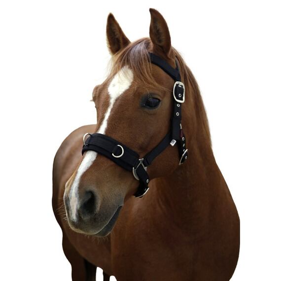 Kantar do lonżowania Covalliero