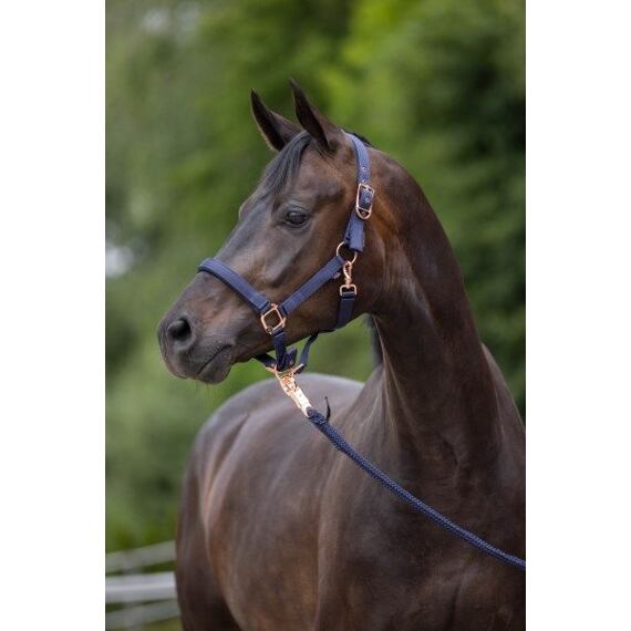 Kantar nylonowy Covalliero Classy, ciemnoniebieski