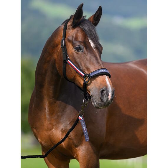 TOMMY HILFIGER Kantar Yale ze smyczą, czarny