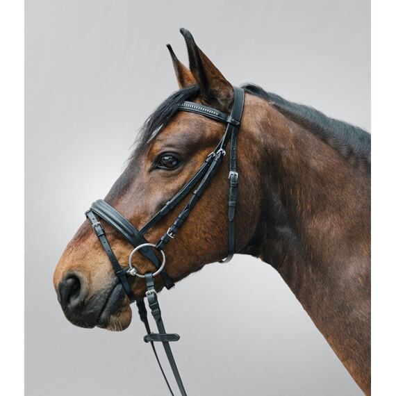 Ogłowie skórzane STAR Diamant, czarne, rozmiar Shetty