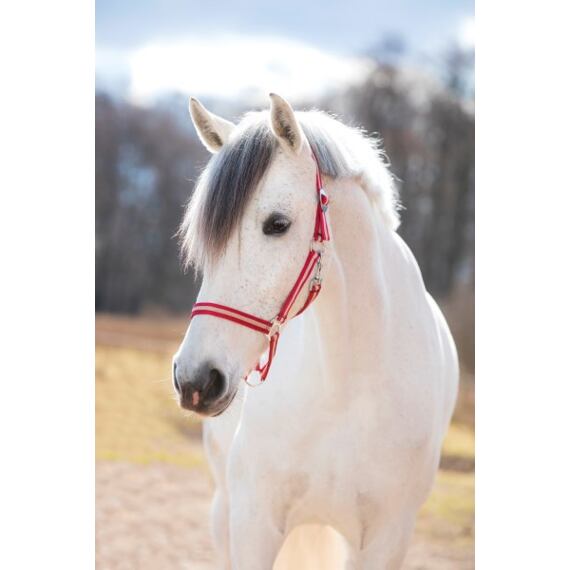 Kantar nylonowy Covalliero Hippo, bordowo-beżowy