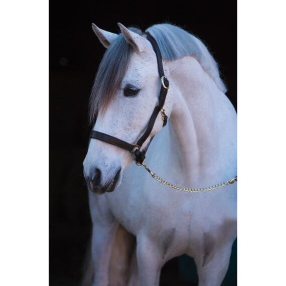 Kantar skórzany Covalliero Eco, czarny