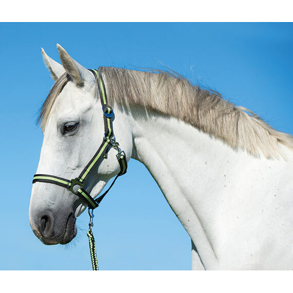 Kantar nylonowy Covalliero Hippo, antracytowy/limonkowy