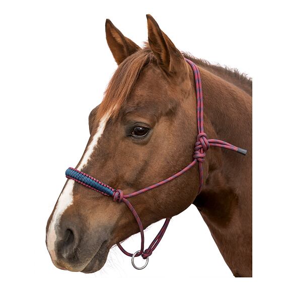 Kantar sznurkowy LproWest Bicolor, bordowo-niebieski