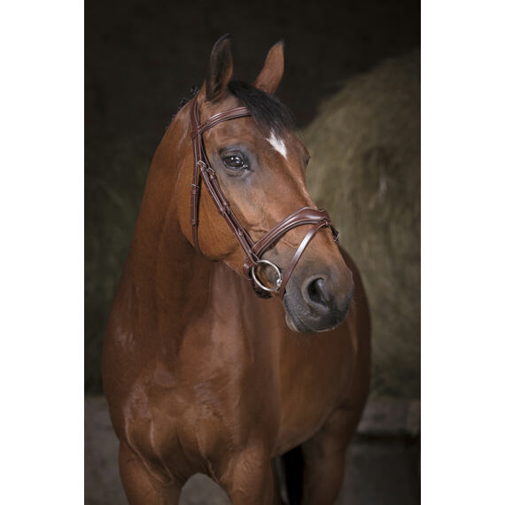 Skórzana uzda Norton Pro Vaque, brązowa