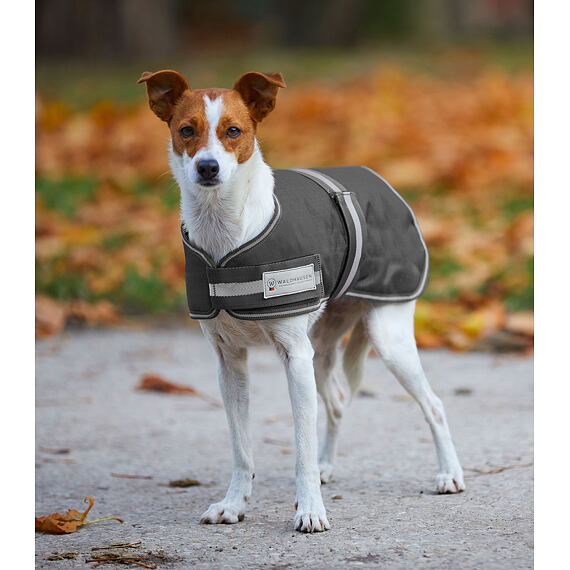 Koc dla psa Waldhausen Comfort Line outdoor, 200 g, kolor: szary