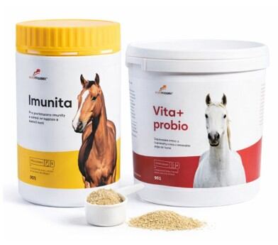 VitaEmote SPRING BOOSTER DuoPack