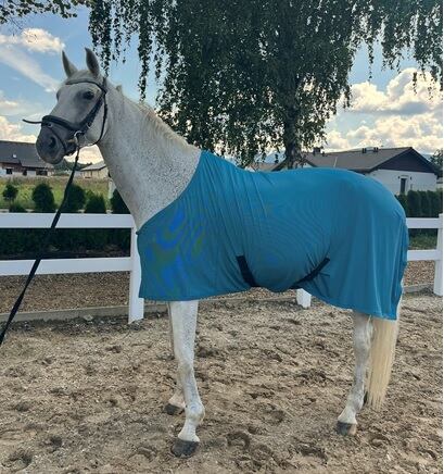 Derka letnia dzianinowa KENTAUR, niebieska