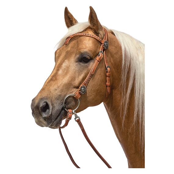 Uzda westernowa LproWest Black Rose