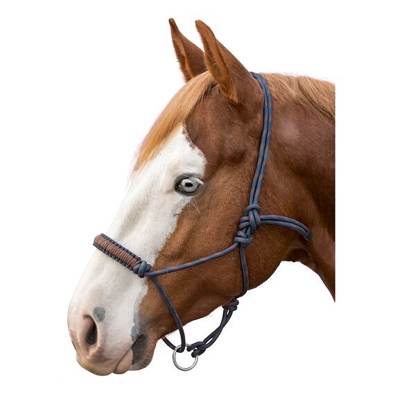 Kantar sznurkowy LproWest Bicolor, brązowo-niebieski