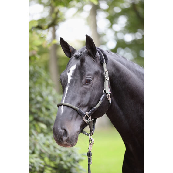 Kantar nylonowy Covalliero Cordano, khaki