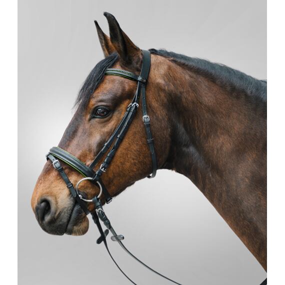 Skórzane ogłowie STAR Diamant, zielone, roz. Shetty