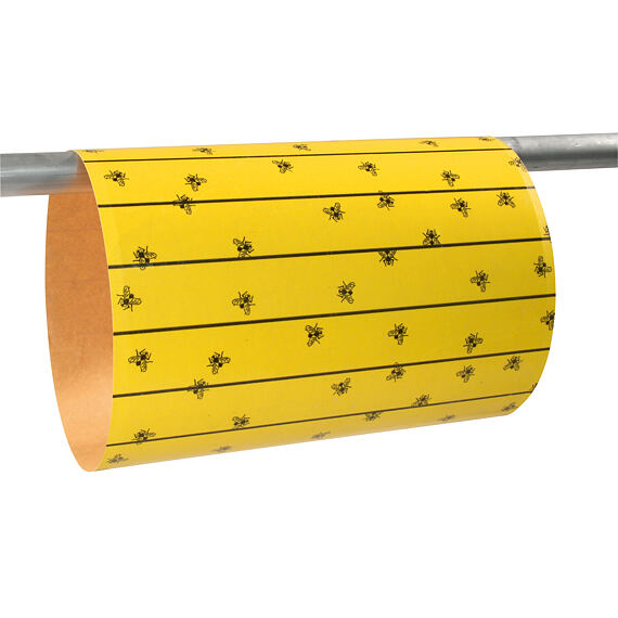 Lep na muchy FlyMaster, 6 szt./opak.