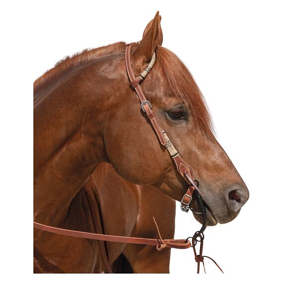 Uzda westernowa LproWest Amarillo na jedno ucho