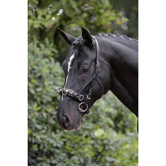 Uzda kombinowana z nachrapnikiem Covalliero Exclusive, czarna, rozm. Full