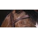 Skórzana uzda Norton Pro Vaque, brązowa
