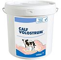 Calf VOLOSTRUM